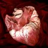 La scultura �Love� del 2016: � un cuore integro e sano, una celebrazione dell�amore
